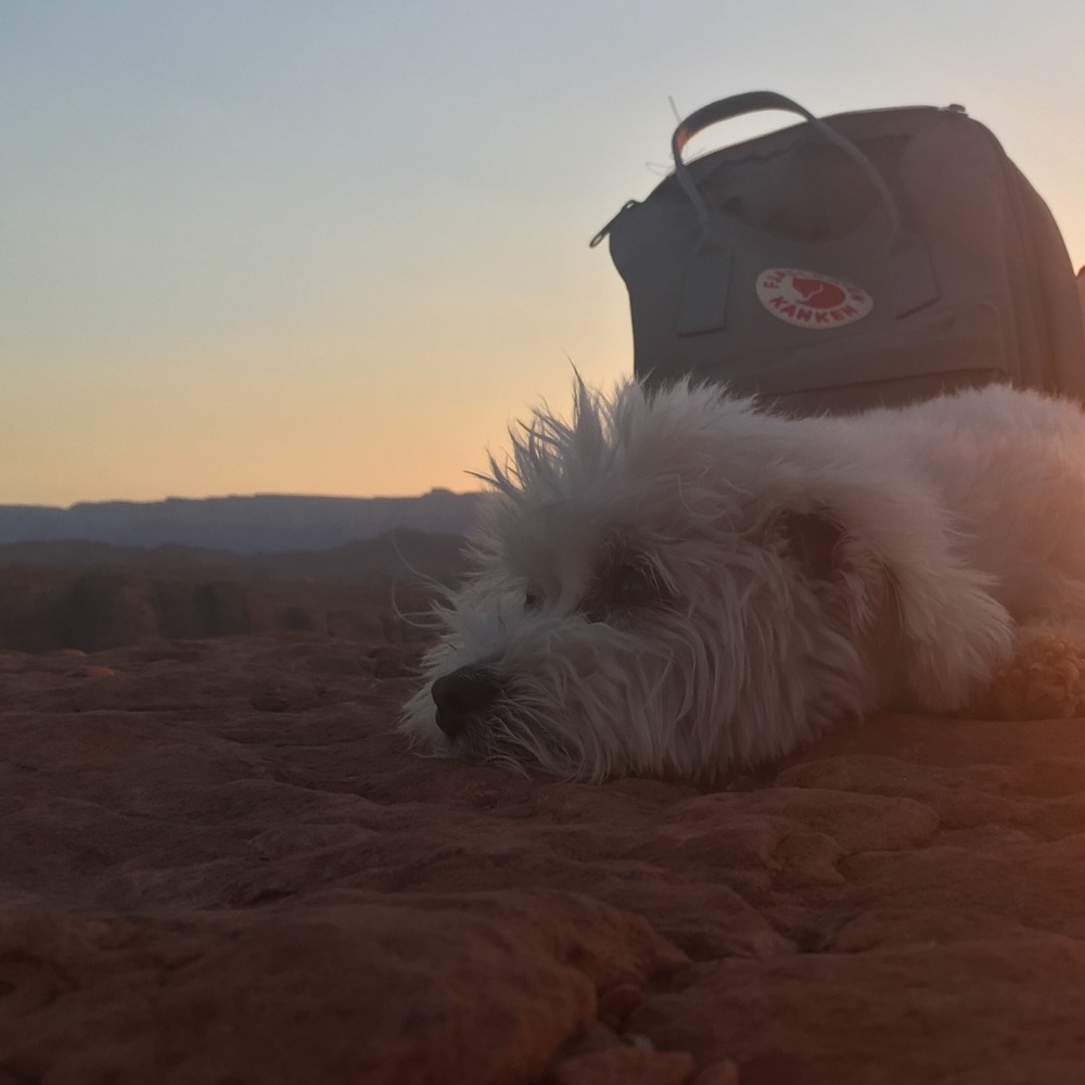 Meet your Posher, Jamie